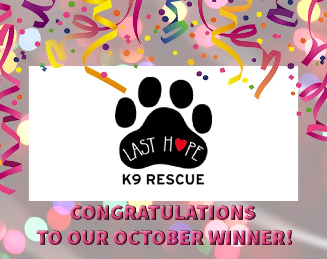 Toyota of Braintree October Charity Winner