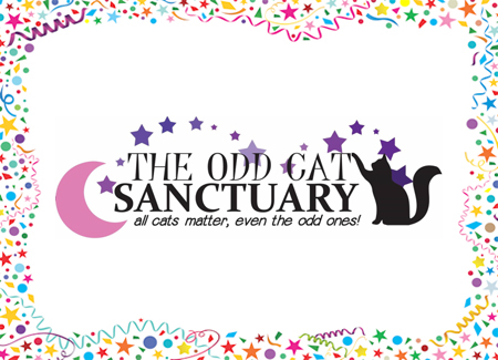 The Odd Cat Sanctuary