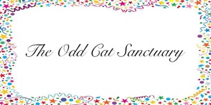 The Odd Cat Sanctuary