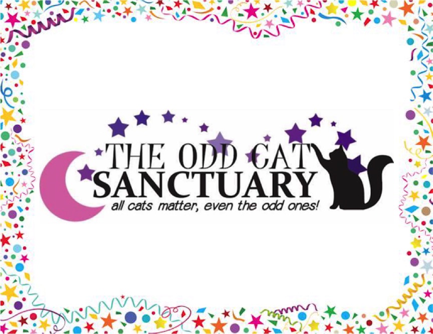 The Odd Cat Sanctuary