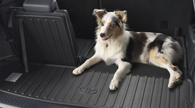Toyota cargo liner