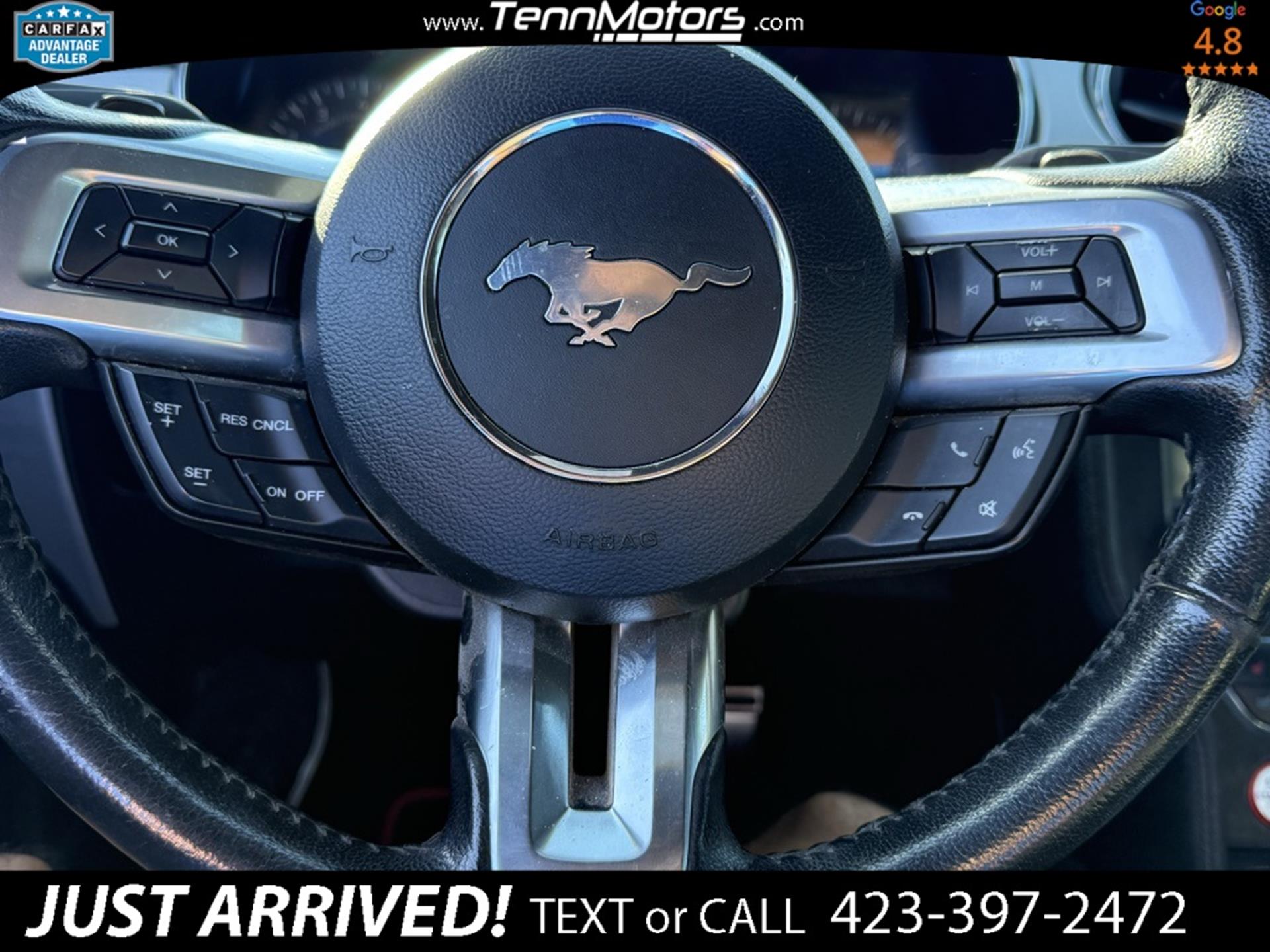 2016 Ford Mustang EcoBoost Premium photo 15
