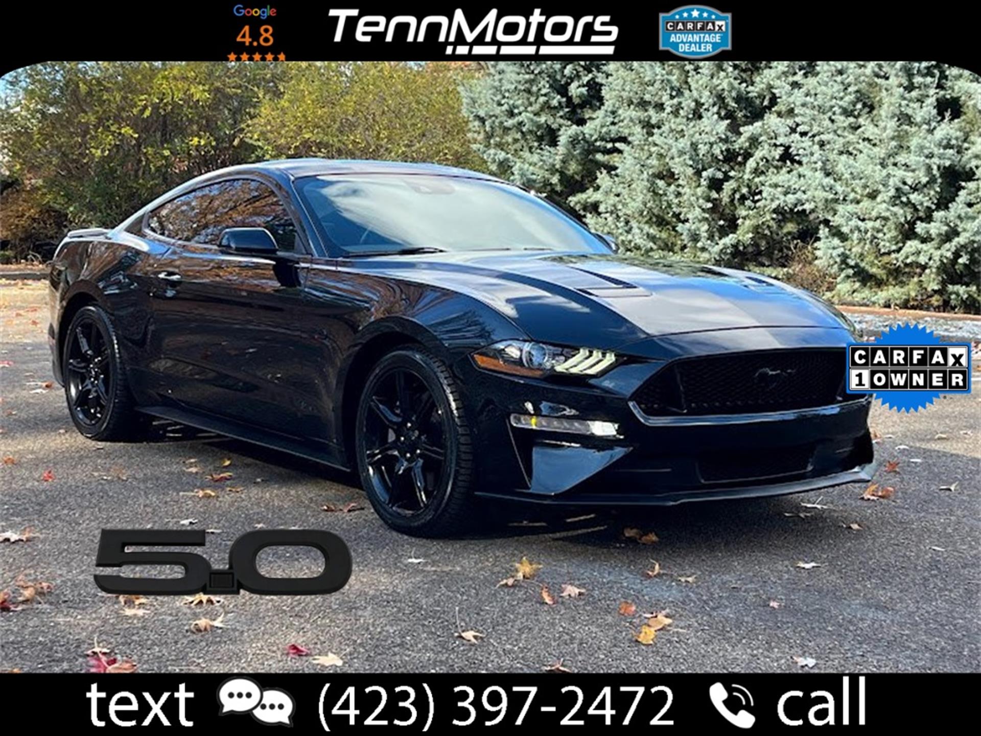 2019 Ford Mustang GT Premium's photo