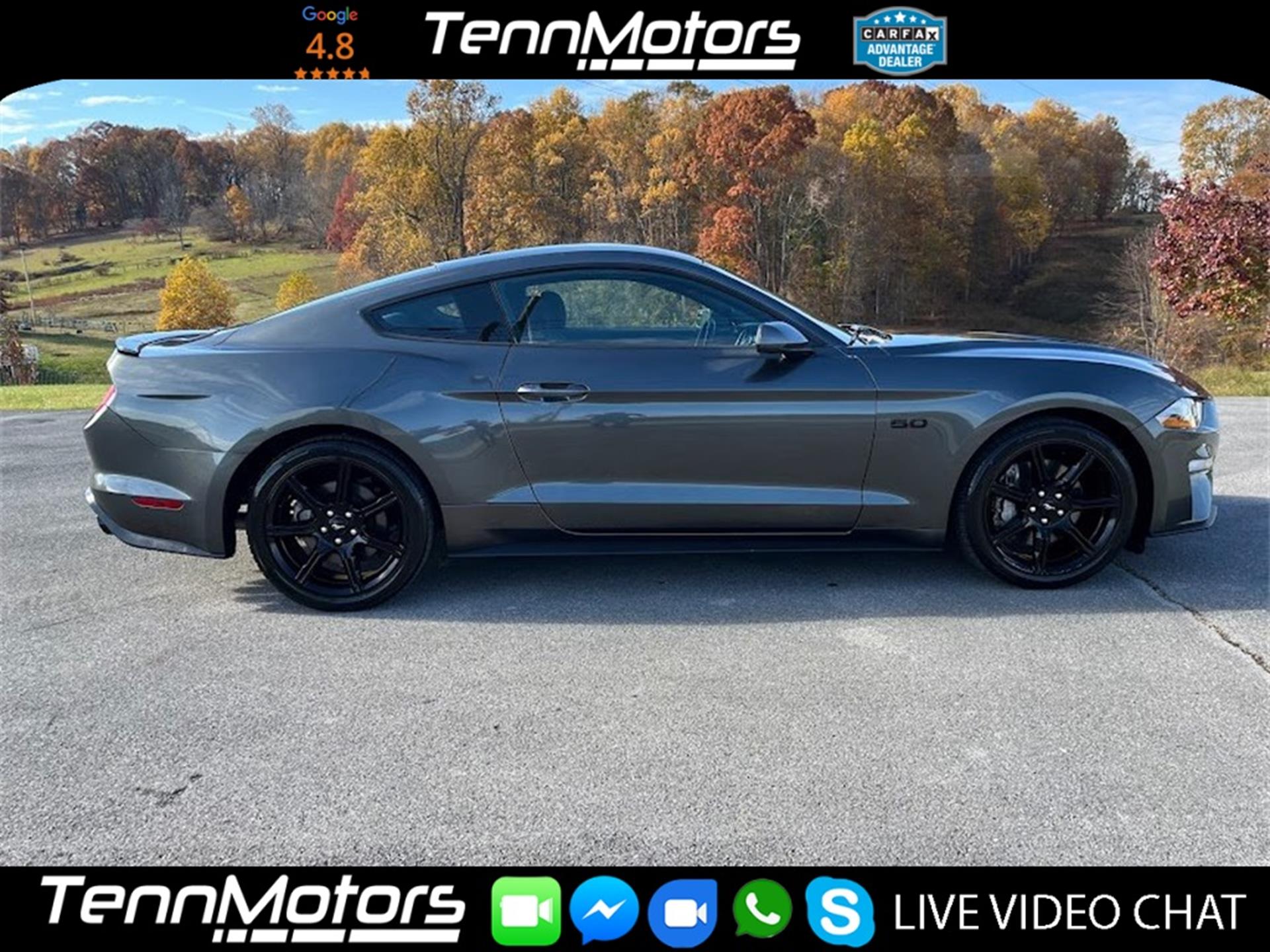 2019 Ford Mustang GT's photo